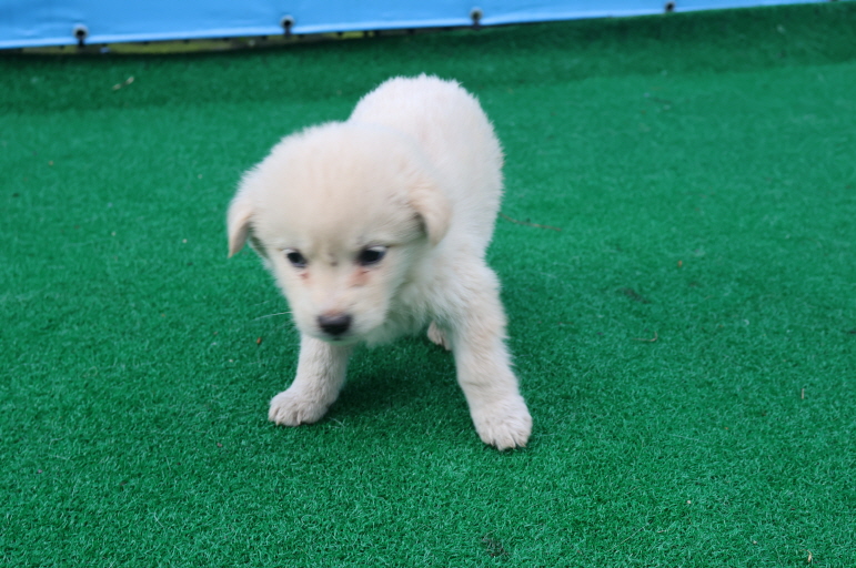 제주 동물보호센터_450650202400913